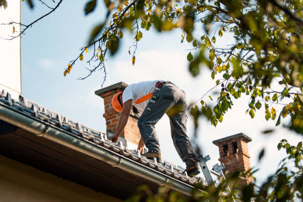 Roof Insulation in Berkley, MI